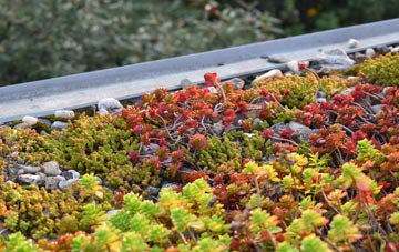 the cost of Sheets Heath green roof installation