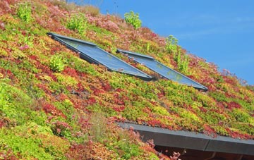 Sheets Heath living roof systems